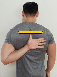 How To Improve Reaching Your Hand Behind Back Posture Direct
