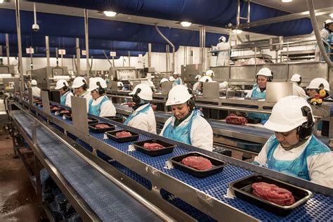 Abp Food Group In £22m Uk Renewable Energy Investment Meat Management