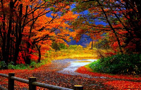 Unduh 75 Widescreen Wallpaper Autumn Foto Viral Postsid