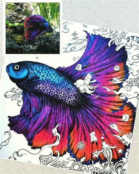 Many homes and offices use these colorful fish almost like decorations to brighten up their space. from #animorphia inspired by this #beautiful and # ...