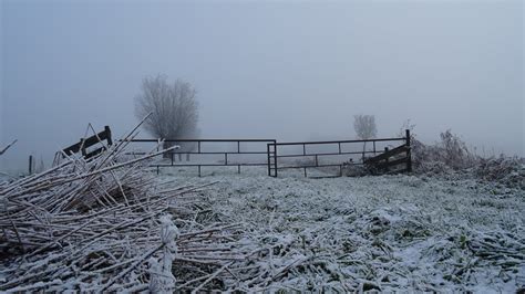 Zomaar Een Plaatje Ruige Rijp En Mist Groot Heerenveen