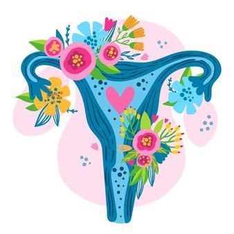 Sistema Reproductor Femenino Con Flores Vector Gratis Uterus Art