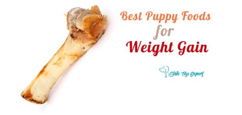 Wellness healthy weight for toy breed﻿s. Best Puppy Foods for Weight Gain