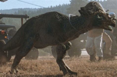 Pachycephalosaurus Wiki Jurassic Park Fr Amino