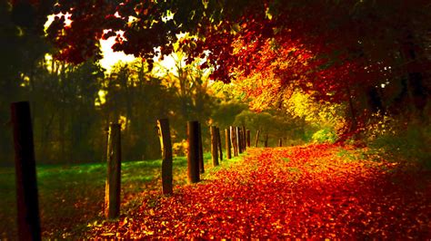 Beautiful scenery wallpaper hd download free. Fall Scenery Wallpapers Free Download | PixelsTalk.Net