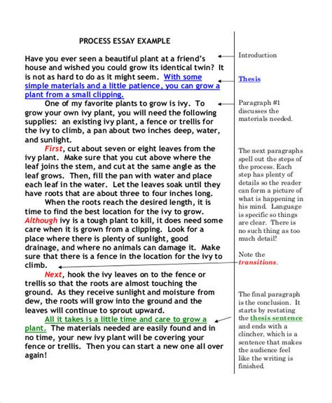 A lesson in writing concisely. FREE 23+ Free Essay Examples in PDF | DOC | Examples