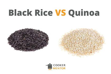 Black Rice Vs Quinoa Nutritional Comparison Cooker Mentor 2023