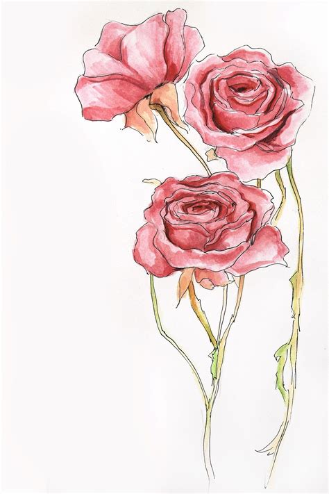 | see more about overlay, transparent and tumblr. watercolor rose painting | Tumblr | Disegni di rose ...