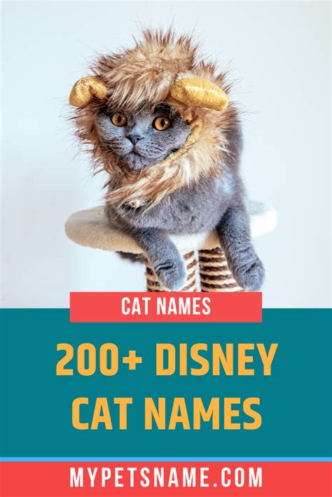 Disney Cat Names Disney Cat Names Cat Names Girl Cat Names