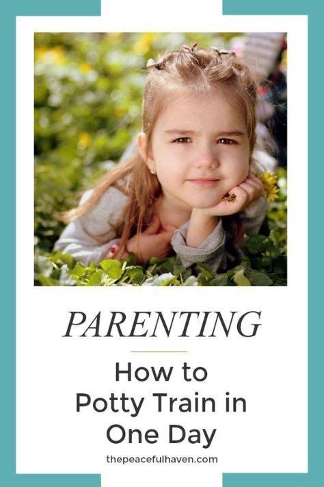 How To Potty Train In One Day The Peaceful Haven Potty Training