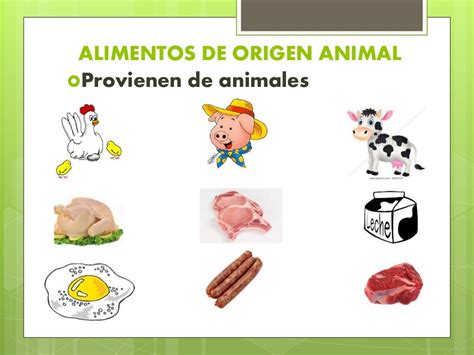 Alimentos De Origen Anima Alimentos De Origen Animal Y Leguminosas