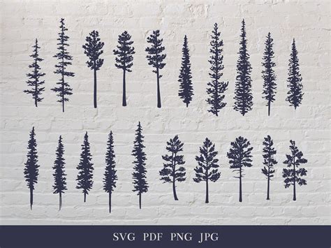 Pine Tree Evergreen Drawing Slihouette Bundle Black And White Sketch