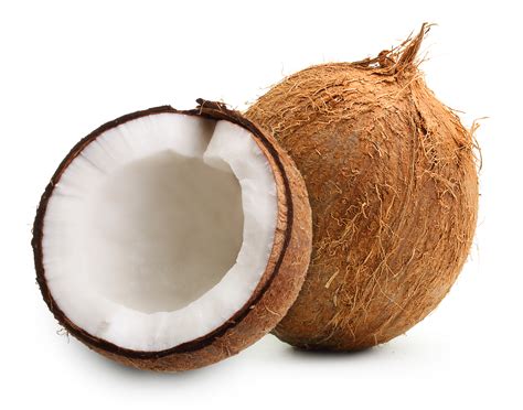 Coconut Isolated On White Background Study Solutions