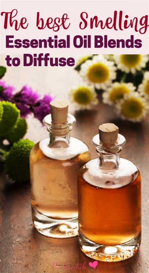 Best Smelling Combinations Of Essential Oils Chris Best