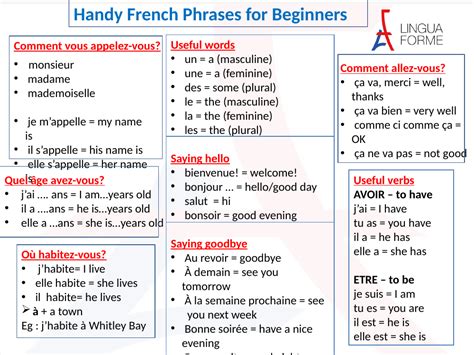 Handy French Phrases For Beginners By Linguaforme Teaching Resources
