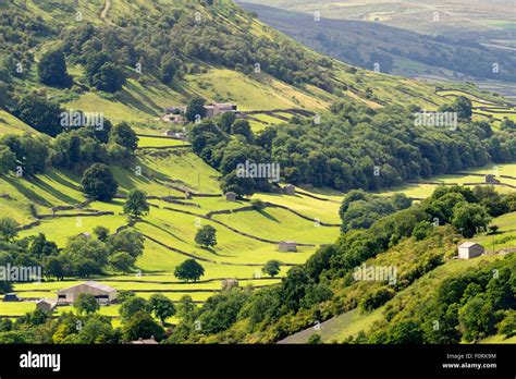 Swaledale The Yorkshire Dales England August 2015 Stock Photo