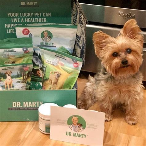 Dr Marty Dog Food Review Is It Worth It June 2022 Reviews The
