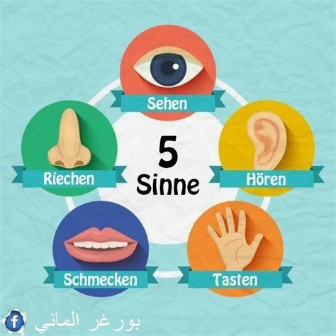 الحواس الخمس Die Fünf Sinne وقت التعليم