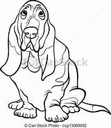 Hound Basset Coloring Getdrawings Dog sketch template