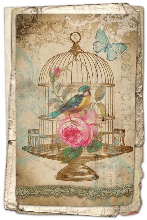 Framed Print Birdcage Art Vintage Style Victorian Picture Animal