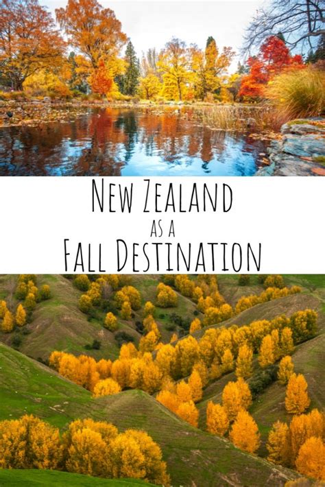 Why You Should Consider A Fall Visit To New Zealand