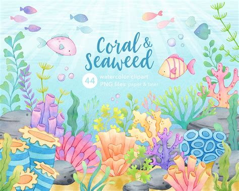 Coral And Seaweed Watercolor Clipart Underwater Scene Ocean Life Png