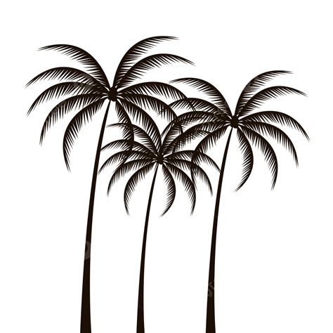 Gedetailleerde Palmboom Vector Silhouet Palm Boom Silhouet