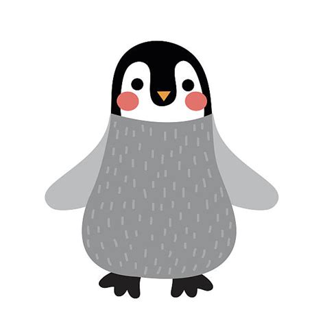 Royalty Free Baby Penguin Clip Art Vector Images And Illustrations Istock