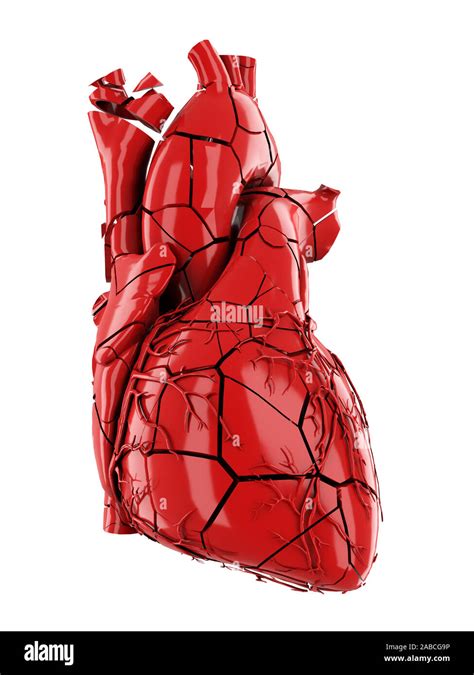 3d Rendered Medically Accurate Illustration Of A Broken Human Heart