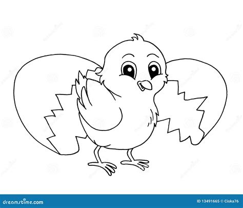 white chick stock illustrations 29 004 white chick stock illustrations vectors and clipart
