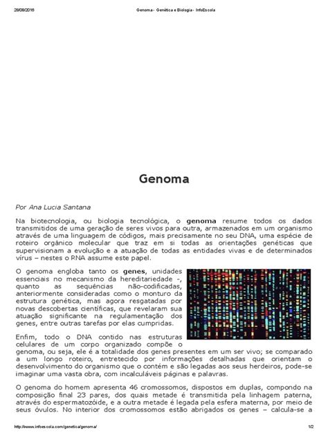 Genoma Genética E Biologia Infoescola Genética Dna