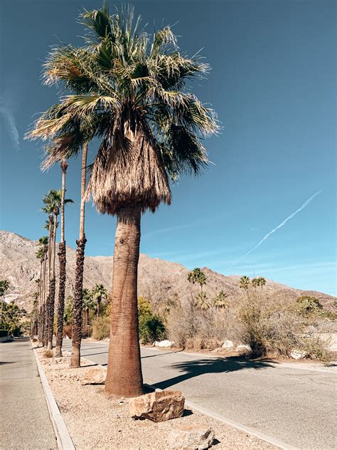 Palm Springs To Joshua Tree Weekend Guide — The Soloist Solo Female