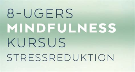 Mindfulness Kursus Med Erfarne Undervisere