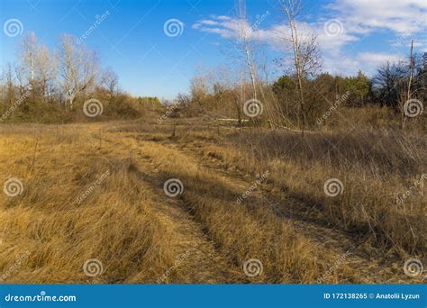 Steppe Forest At Early Spring Ukraine Europe Stock Image Image Of