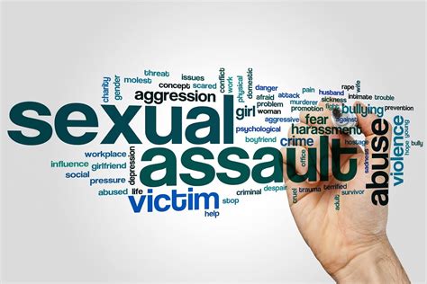 Understanding Sexual Assault And Domestic Violence Bytensky Shikhman