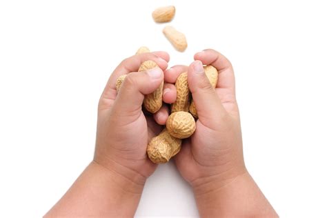 Peanut Allergy Prevention Idea Health And Fitness Association