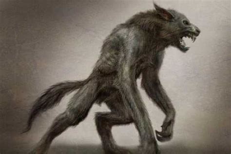 real life werewolves