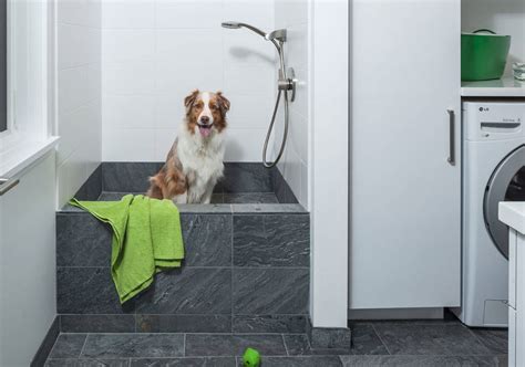 29 Sweet Dog Shower Ideas And Pet Washing Stations Luxury