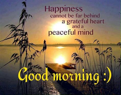 Good Morning My Friends Peace Of Mind Quotes Gratitude Quotes