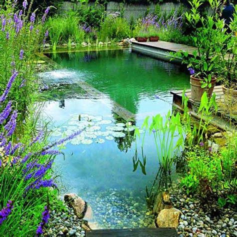 24 Backyard Natural Pools You Want To Have Them Immediately Woohome