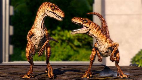 Release Every Velociraptor Skins Combination In Jurassic World Evolution 2 Youtube