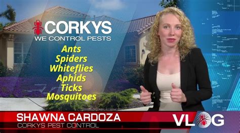 Corkys Ultimate Pest Control Diy Pest Control