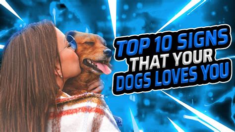 For The Love Of Dogs Top 10 Signs Your Dog Loves You 🎆 Signs Dogs Use