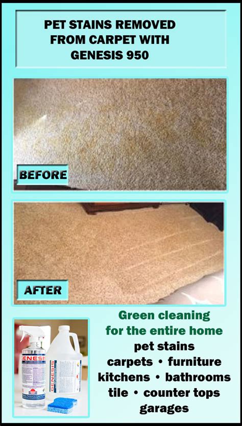 The great thing about our diy stain removal recipe we gave you earlier is that it can work on pet stains too! Genesis 950 Cleaning Tips And Tricks: Remove Pet Stains ...