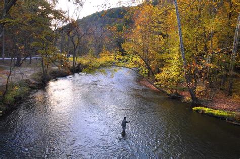 We did not find results for: Program Site: Mohican State Park | State parks, State ...