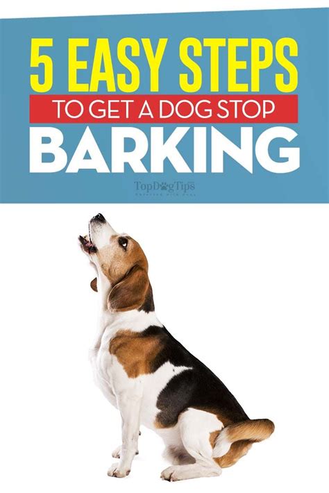 5 Methods To Get A Dog To Stop Barking Stop Dog Barking Dog Training