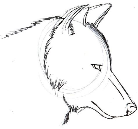 Wolf Images Drawing Easy Wolf Simple Drawing At Getdrawings Free