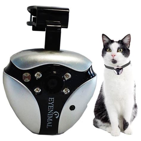Digital Camera Cat Eyenimal Cat Videocam