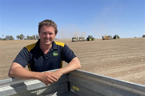 Medic Seed Growers Face Challenges But Patience Pays Off Stock