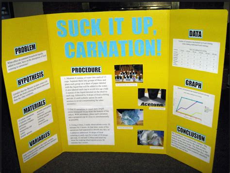 How To Develop High School Science Fair Projects 3 Key Tips